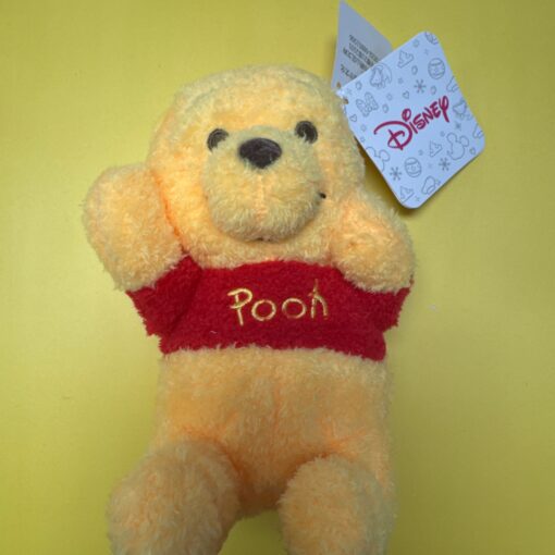 Winnie Pooh Holding Face Small Plush