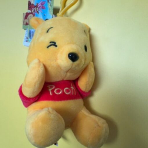 Winnie Pooh Winking Face Mascot Keychain