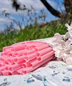 Pink Reusable Heart Straws